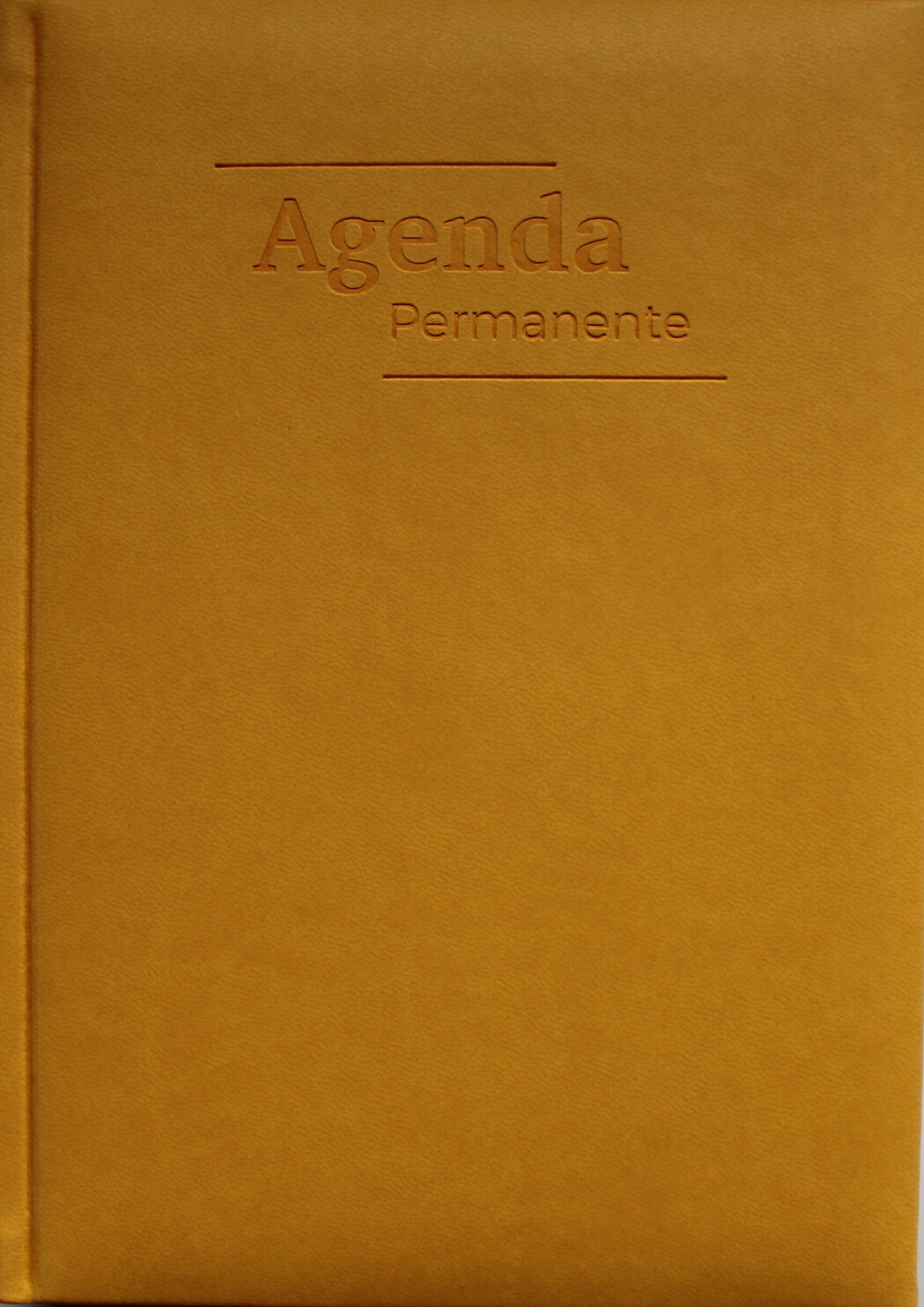 314_imagen.jpg