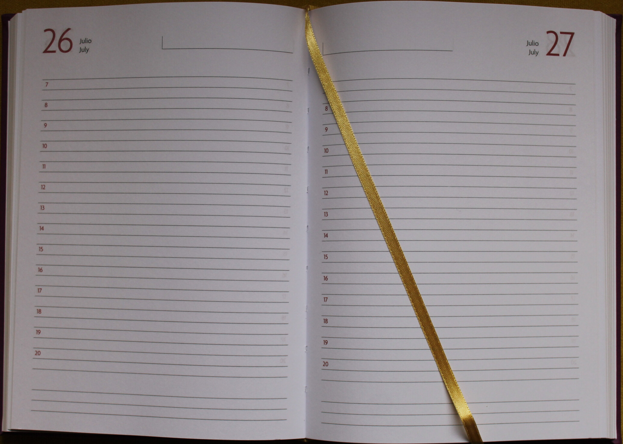341_imagen.jpg